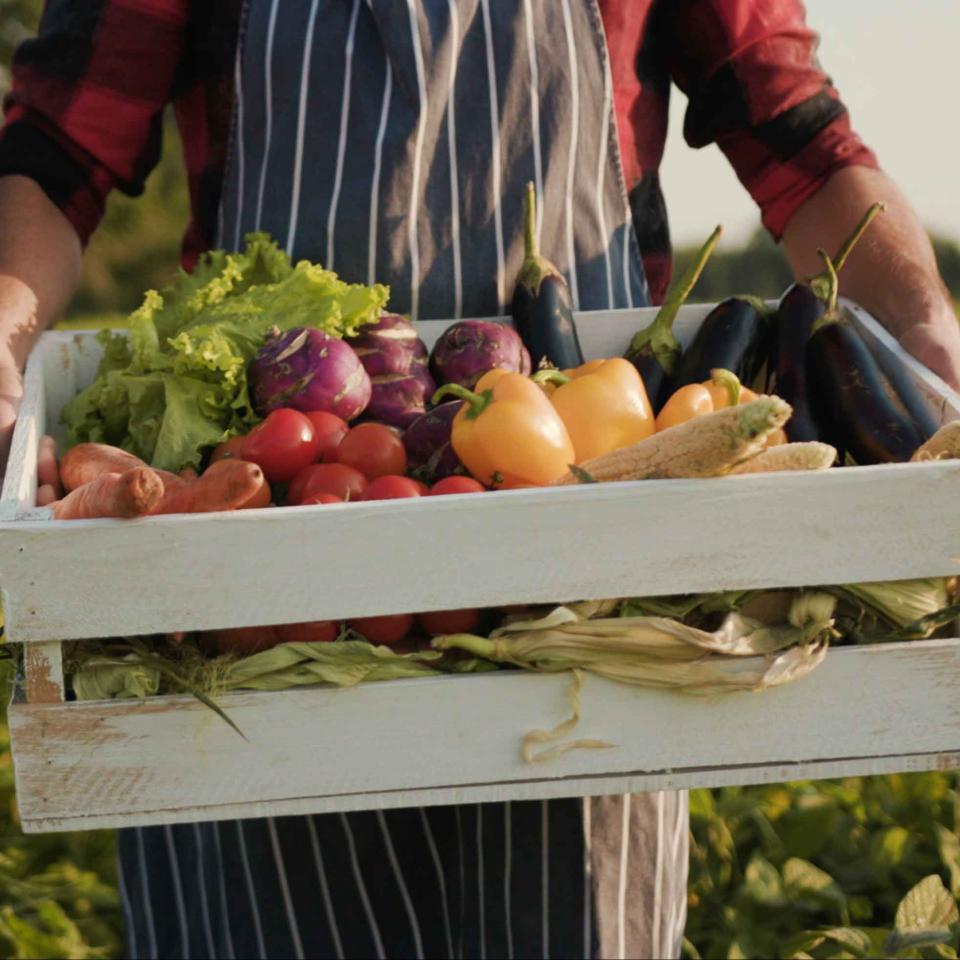 A farmer holding a box of fresh produce in a green field